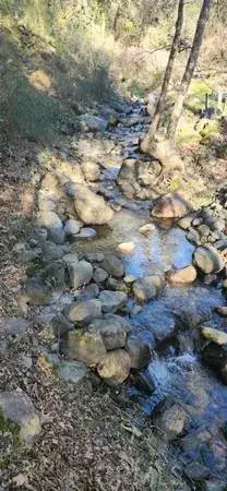 13566 Helltown, Chico, CA 95928