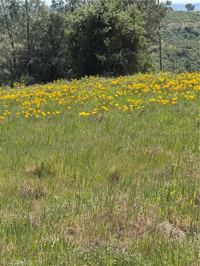 0 Round Valley Ranch, Paradise, CA 95969 - #1