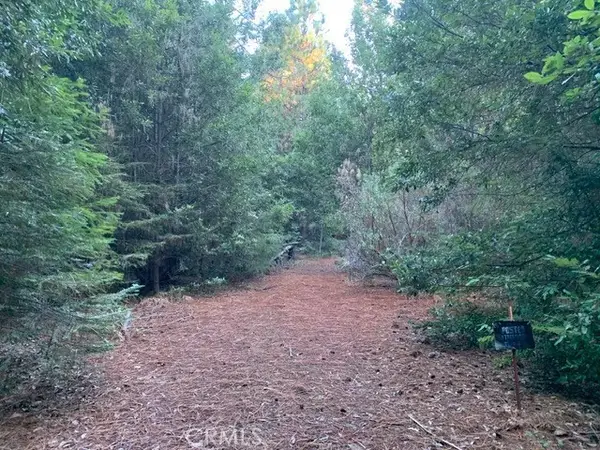 0 Off Skyway, Desabla, CA 95954