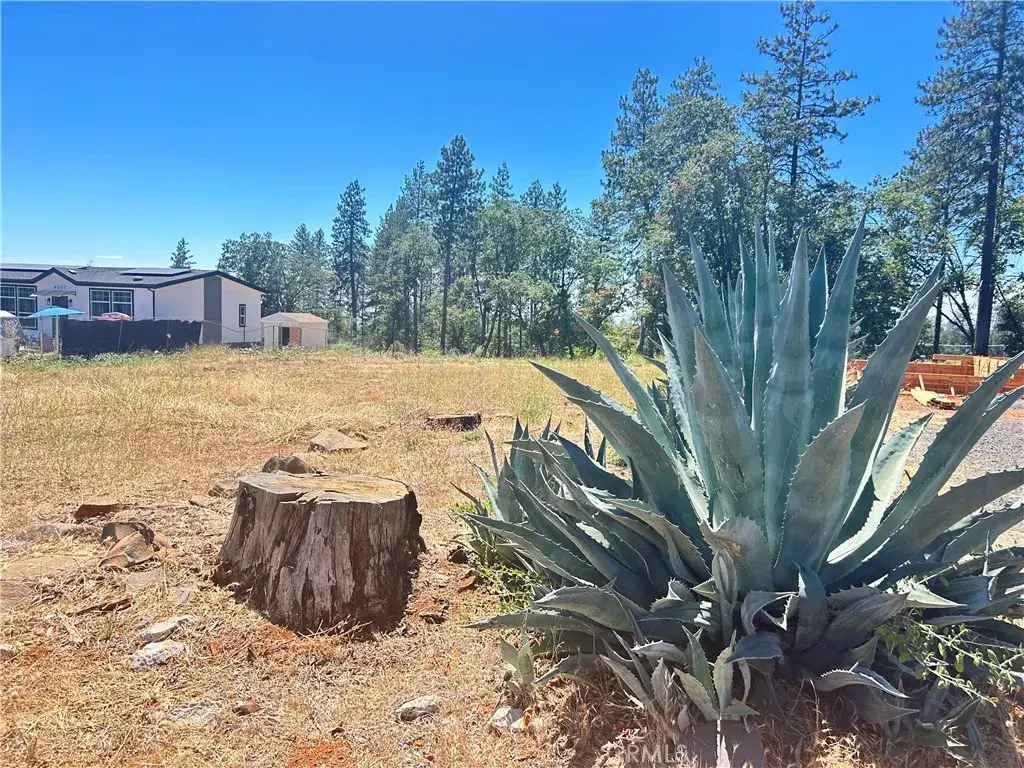 6281 Diamond, Paradise, CA 95969 - #1