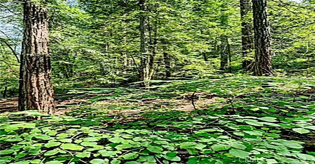 18176 Hwy 116, Guerneville, CA 95446 - Image #1