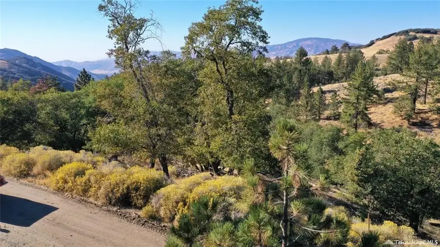 16851 Interlaken, Tehachapi, CA 93561 - #2