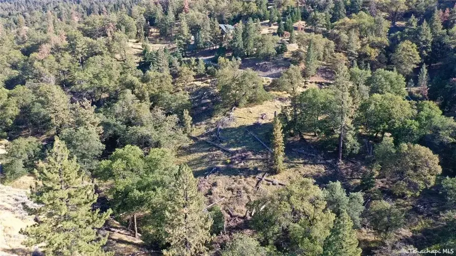 16851 Interlaken, Tehachapi, CA 93561 - #3