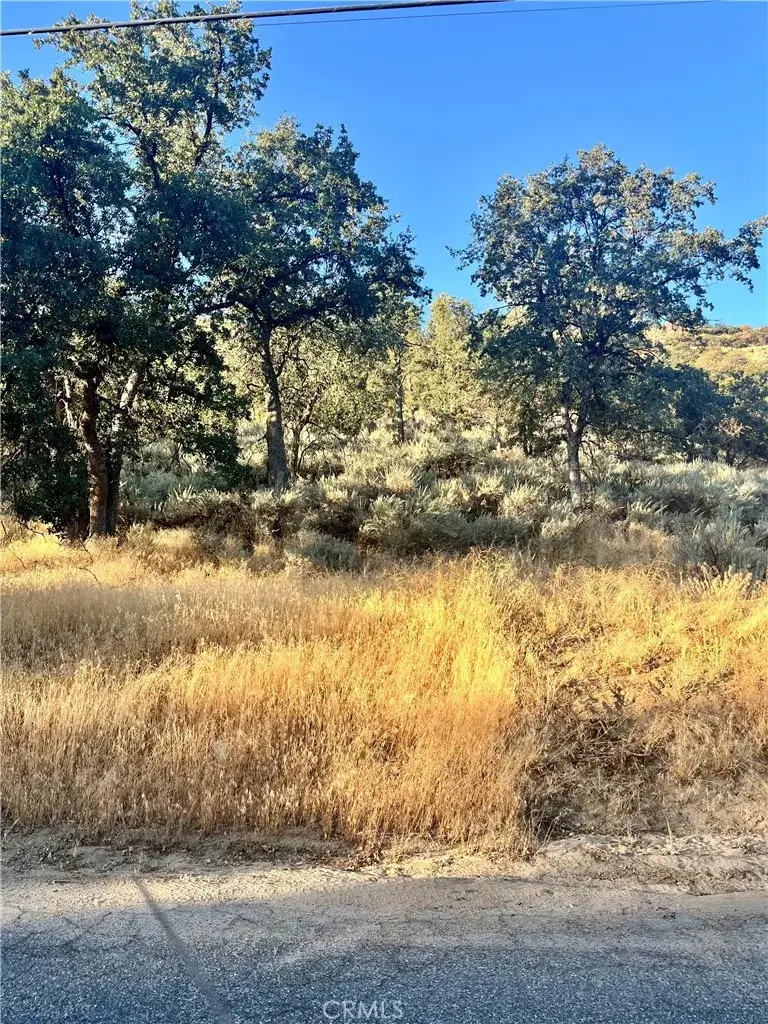 0 Alps Drive, Golden Hills, CA 93561 - Image #2