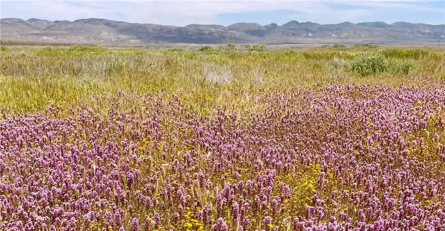 13150 Clarksburg, Santa Margarita, CA 93453 - #3