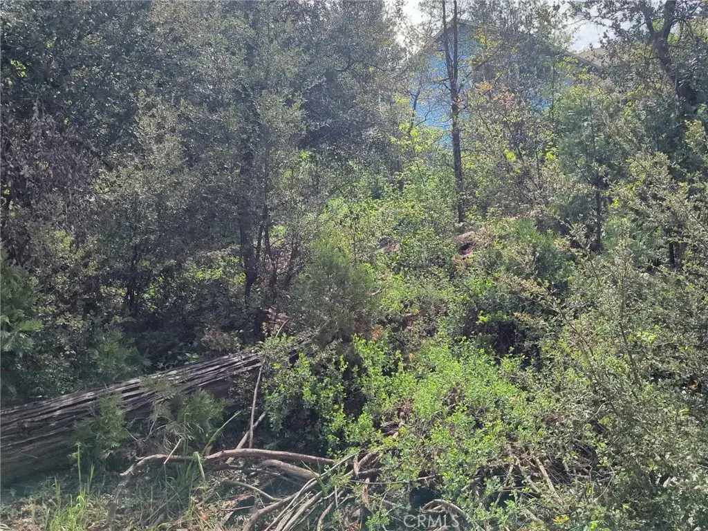 53309 Road 432, Bass Lake, CA 93604 - #1