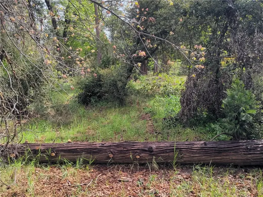 53309 Road 432, Bass Lake, CA 93604 - #3