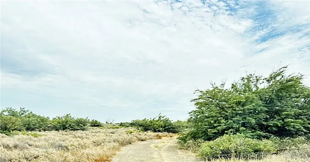 15 Kern River Canal, Buttonwillow, CA 93206 - #1