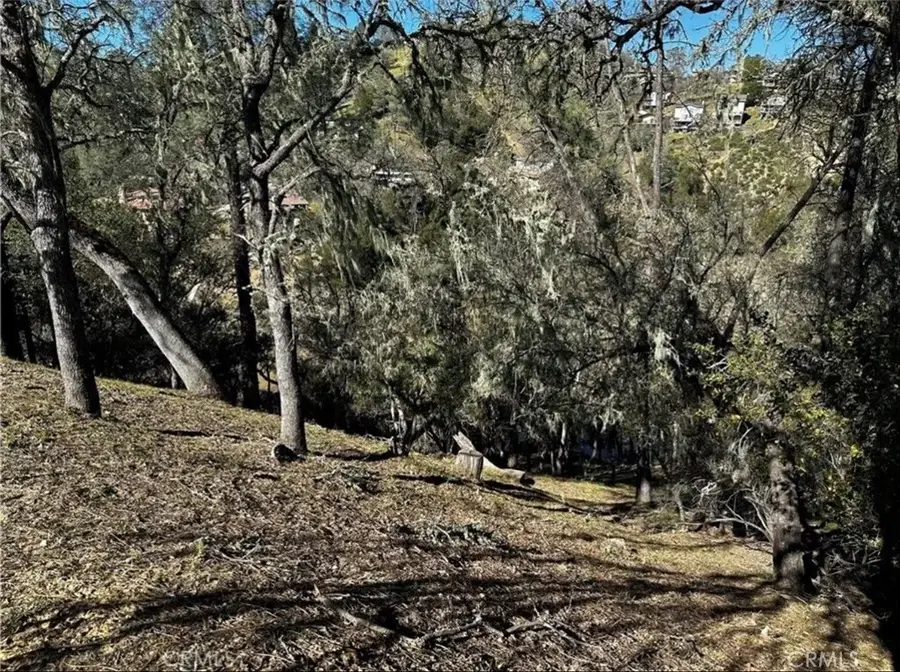 8209 Woody Point, Bradley, CA 93426 - #2