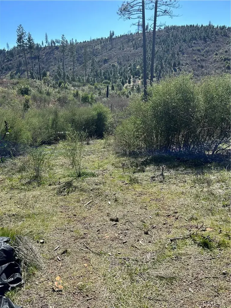 1234 Hog Ranch Rd, Oroville, CA 95965 - Image #1