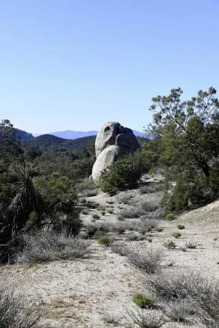 38309 Valley Oak, Warner Springs, CA 92086 - Image #2