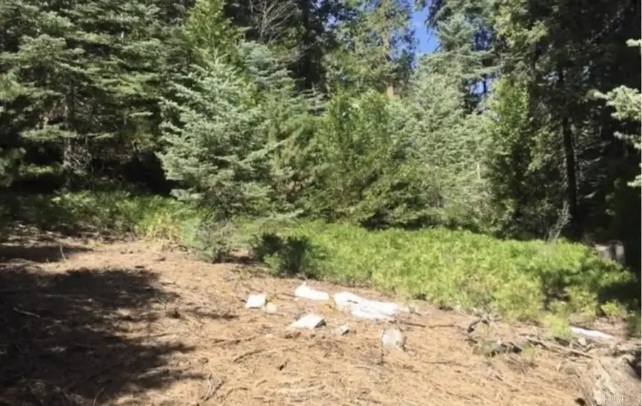 Stonehill, Lake Arrowhead, CA 92385 - #2