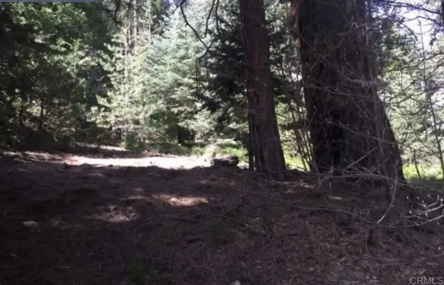 Stonehill, Lake Arrowhead, CA 92385 - #3