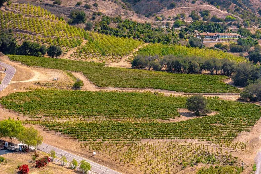 1 Via Horca, Temecula, CA 92590 - #1