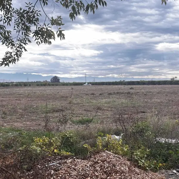 39088 39088 Road 104 Dinuba, Ca, Dinuba, CA 93618