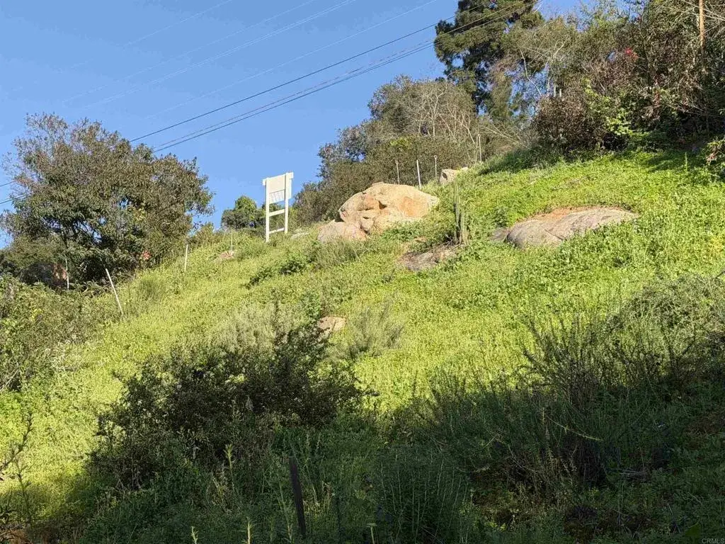 9542 Ridgecrest, La Mesa, CA 91941 - #1