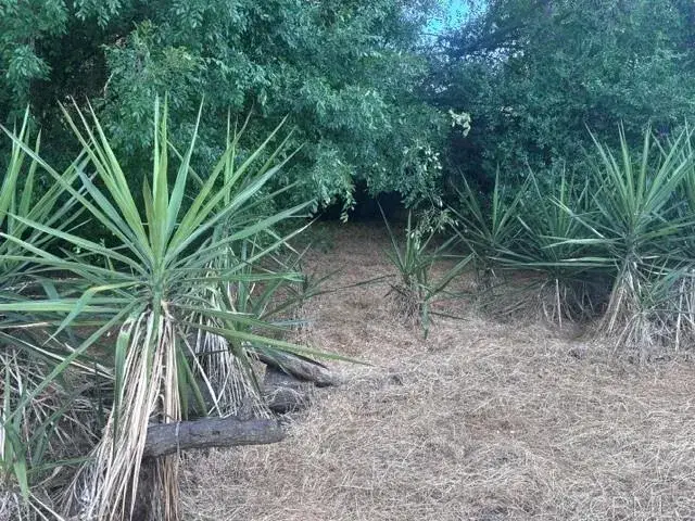 1225 Victor, El Cajon, CA 92021 - #2