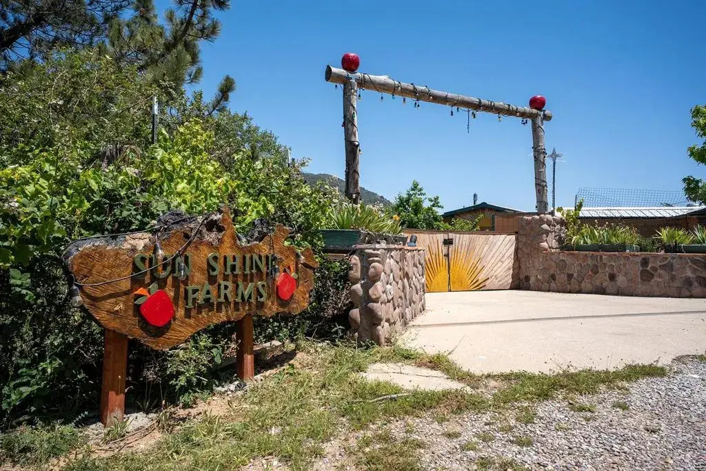 1315 Farmer Rd, Julian, CA 92036 - #1