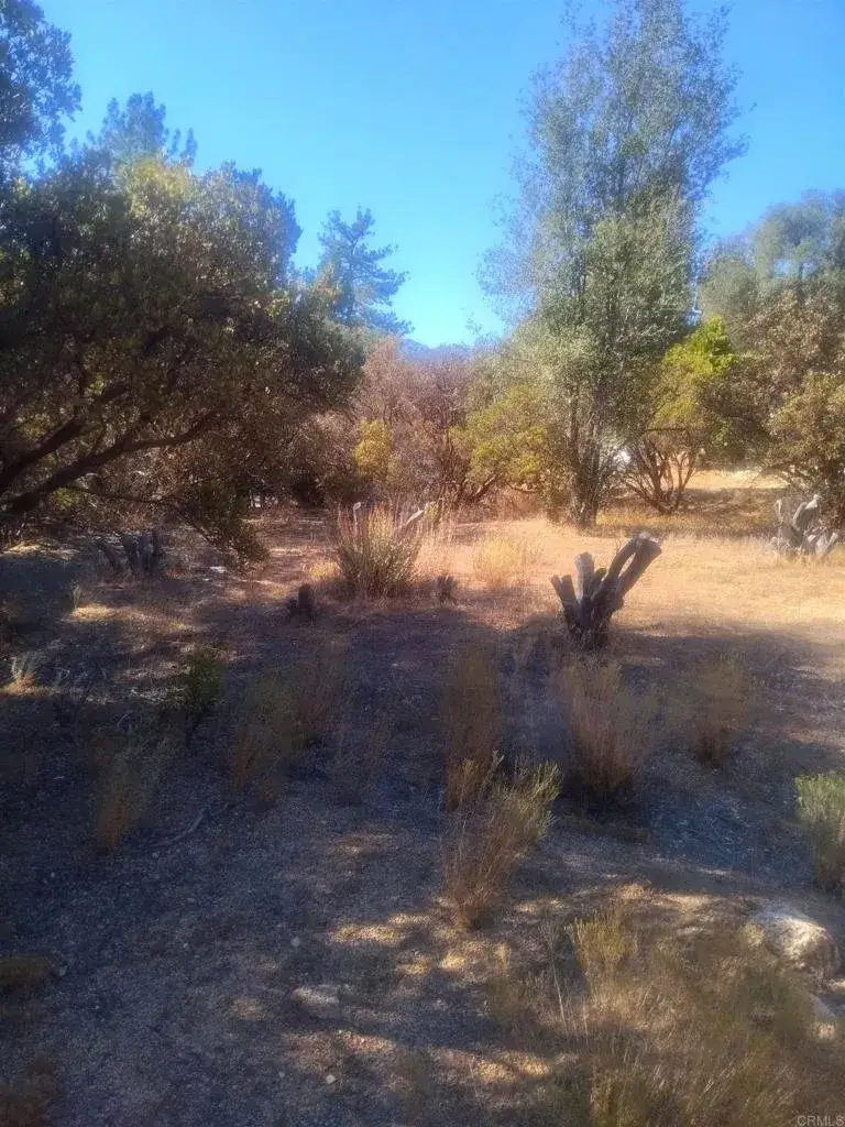0 Valley View, Pine Valley, CA 91962 - #2