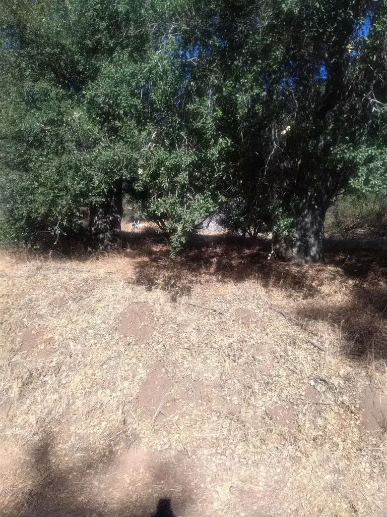 0 Valley View, Pine Valley, CA 91962 - #3