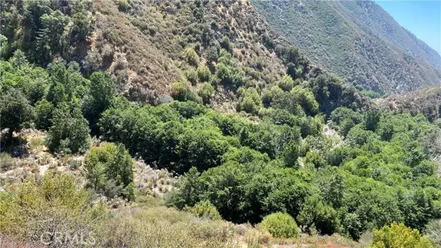 14 Tract 6864, Mount Baldy, CA 91759 - Image #2