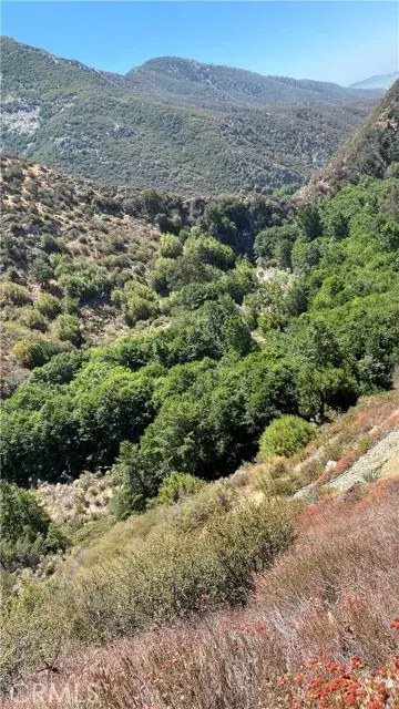 14 Tract 6864, Mount Baldy, CA 91759 - Image #3