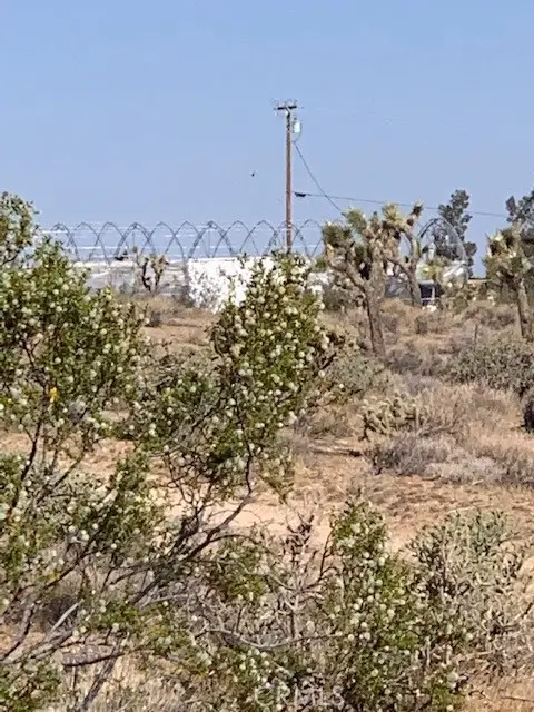 0 Grandview, Lucerne Valley, CA 92356 - #1