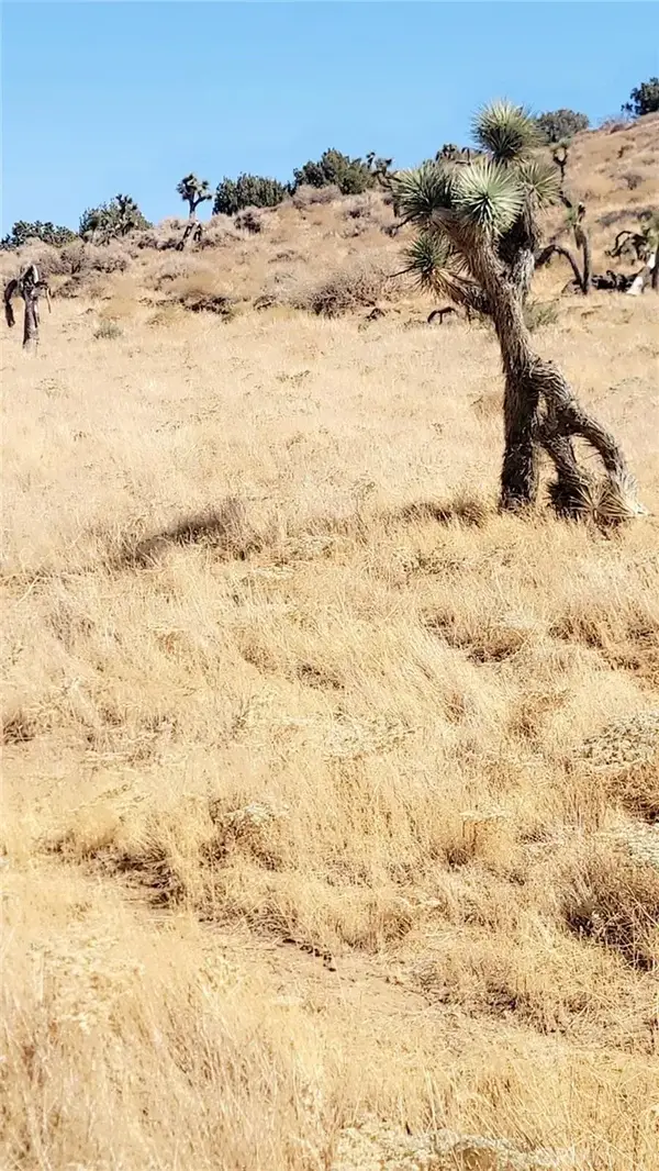 0 W 40th, Lancaster, CA 93534