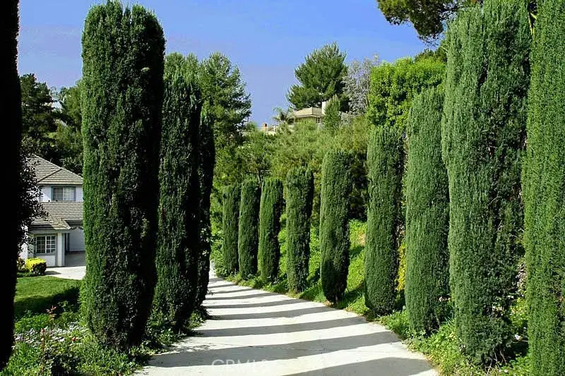 1525 Bonnie Jean Lane, La Habra Heights, CA 90631 - Image #3