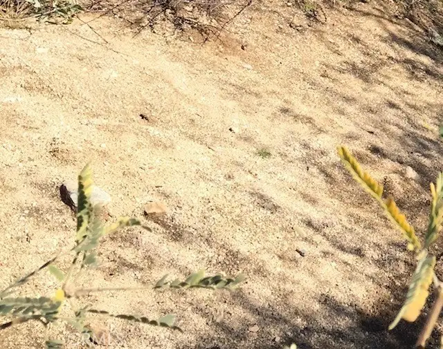 0 E Avenue E-4, Lancaster, CA 93534 - Image #1