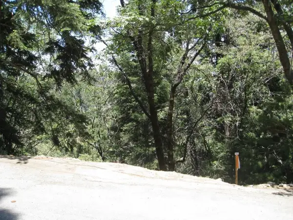 0 Forest, Twin Peaks, CA 92391