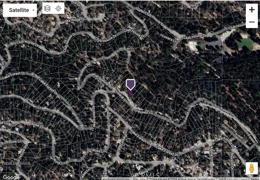 0 Forest, Twin Peaks, CA 92391 - Image #2