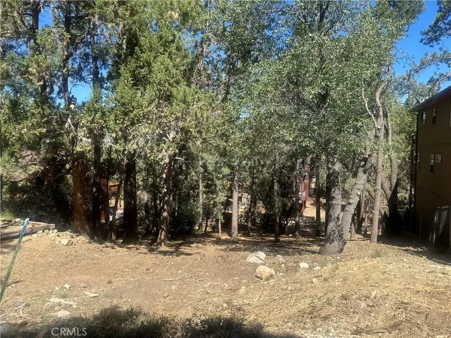 0 Imperial, Sugarloaf, CA 92386 - Image #2