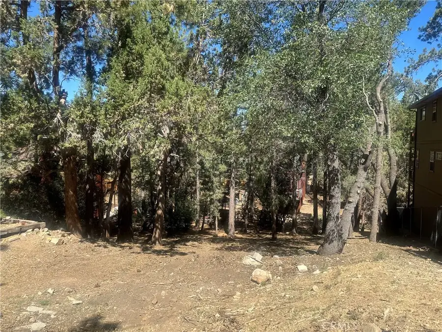 0 Imperial, Sugarloaf, CA 92386 - Image #3
