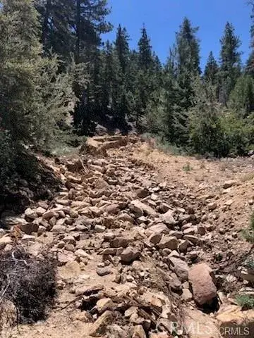 0 Rainbow, Angelus Oaks, CA 92305 - #2