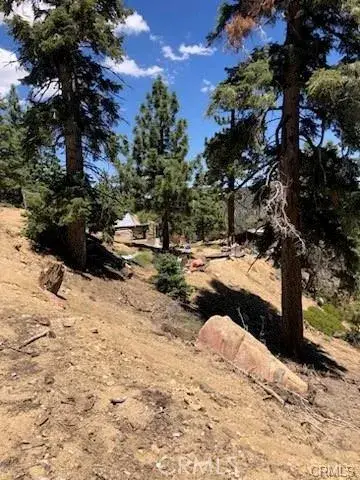 0 Rainbow, Angelus Oaks, CA 92305 - #3