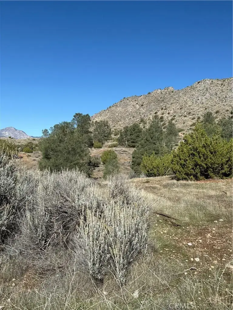 116 Parcel Map, Bodfish, CA 93205 - Image #3