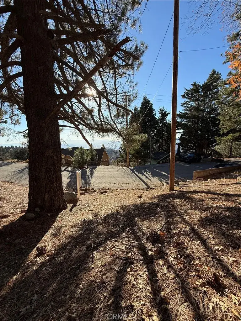 0 Poplar, Running Springs, CA 92382 - #2