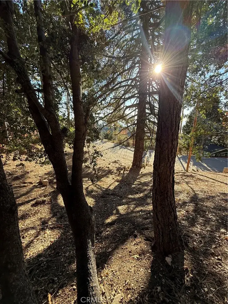 0 Poplar, Running Springs, CA 92382 - #3