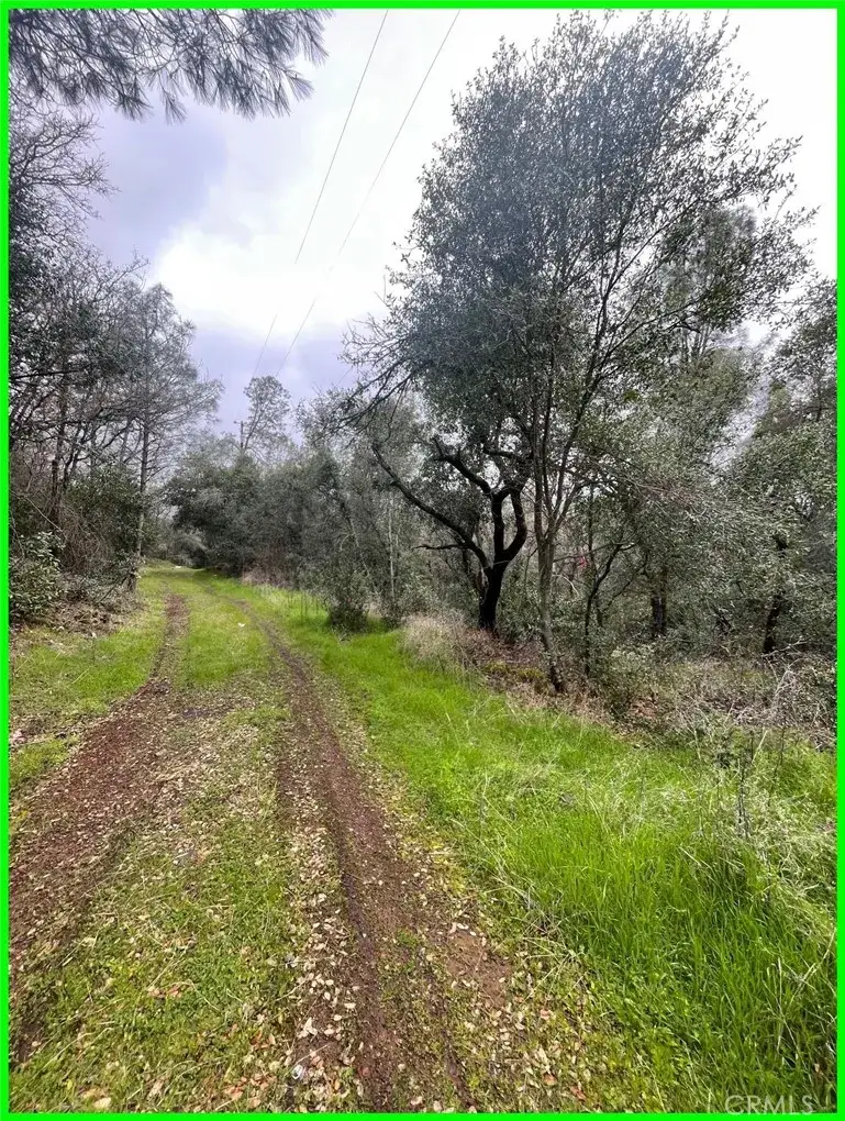 15572 Sharpe, Clearlake, CA 95422 - Image #2