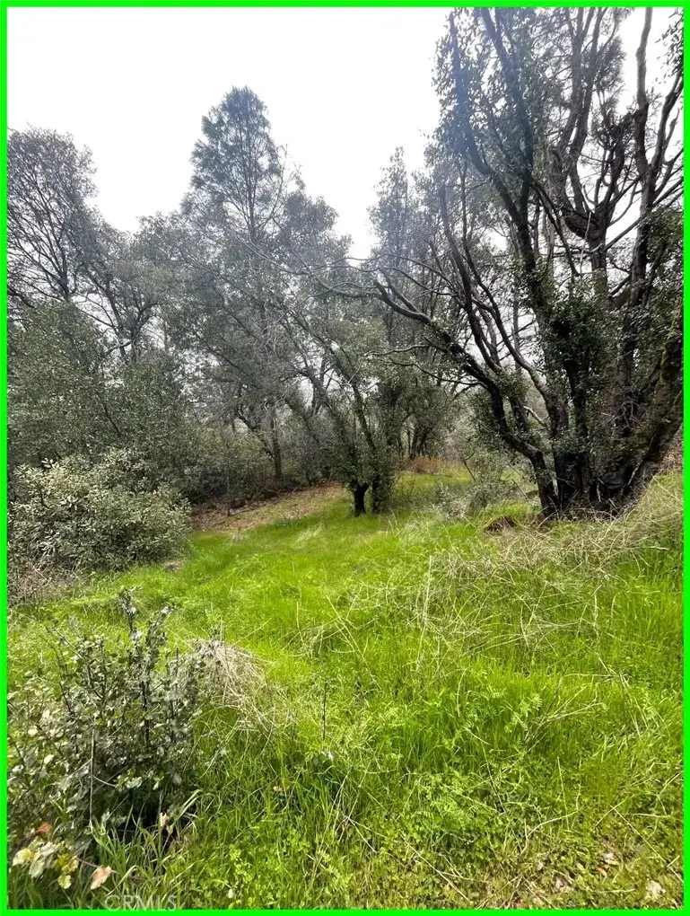 15572 Sharpe, Clearlake, CA 95422 - Image #3