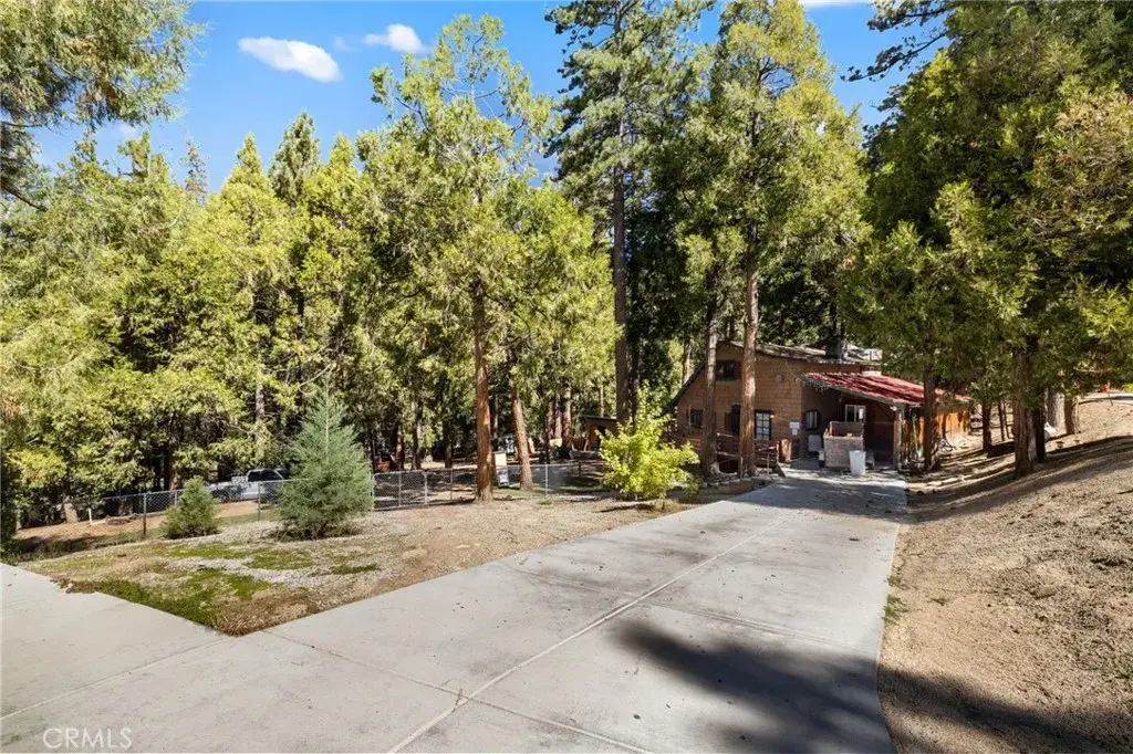 54450 Marian View, Idyllwild, CA 92549 - #1