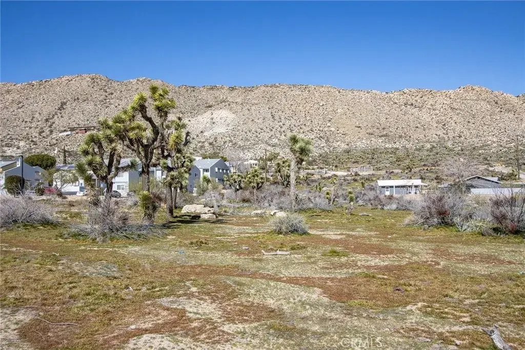 56160 Buena Vista, Yucca Valley, CA 92284 - #1