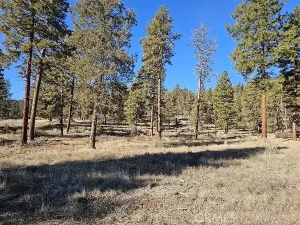 0 Susquehanna, Dorris, CA 96023 - #2