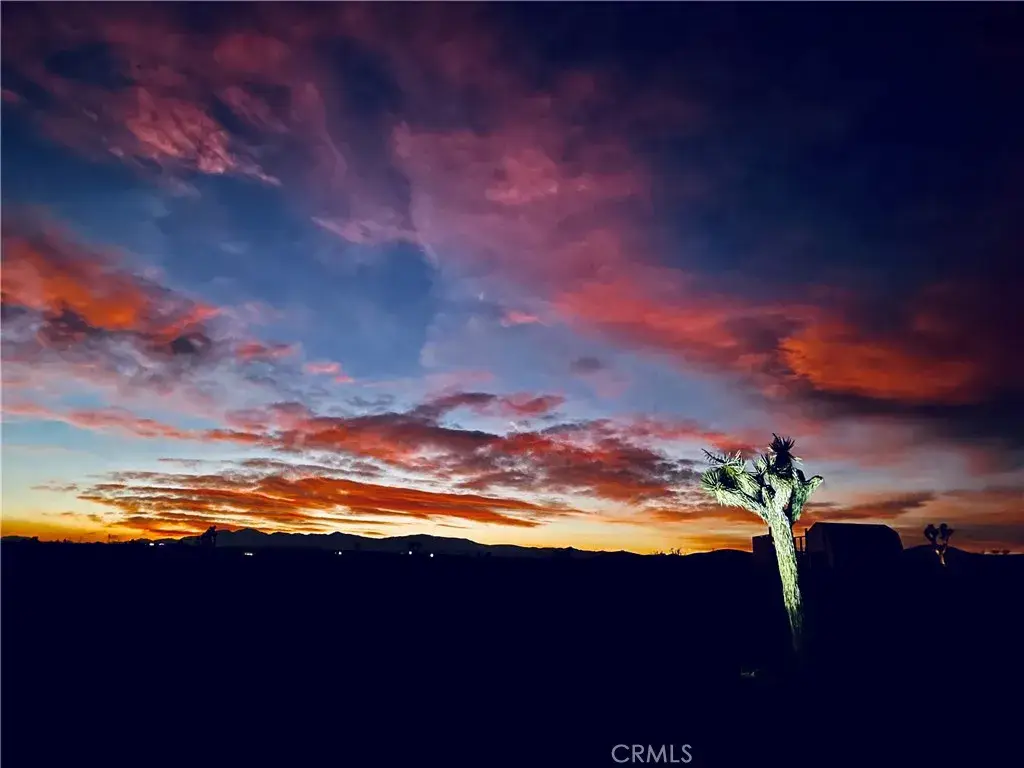 61915 Sunny Sands, Joshua Tree, CA 92252 - #1