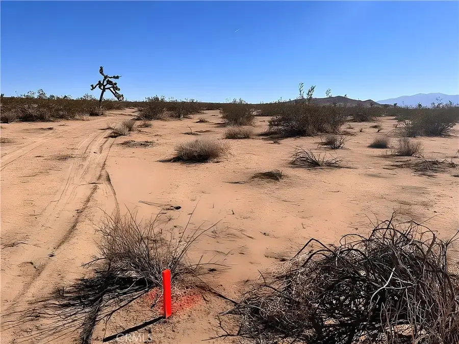 10 Vac/vic Ave F12/155 Ste, Lancaster, CA 93535 - #3