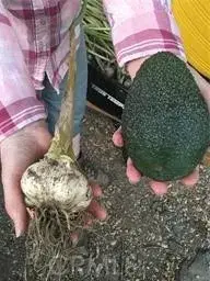 0 Via Barranca, Temecula, CA 92590 - #2