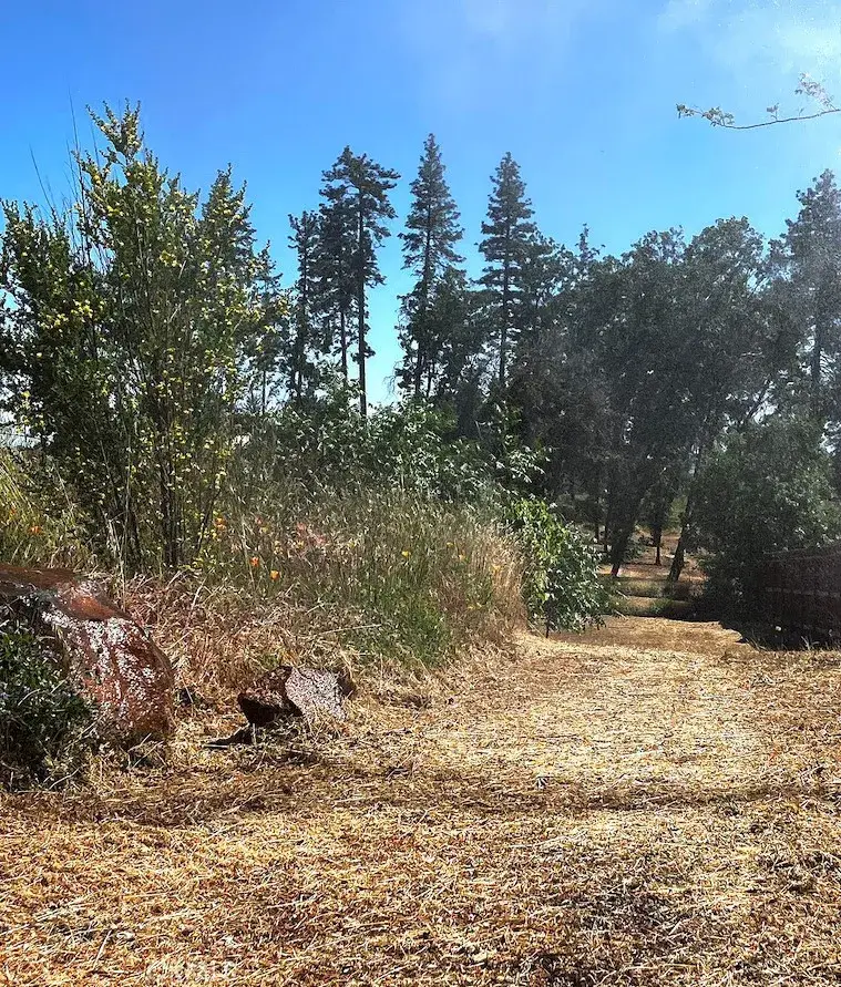 1318 Pearson, Paradise, CA 95969 - #2