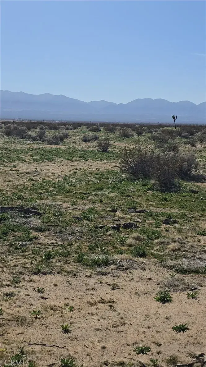 200 Avenue M-4, Lancaster, CA 93535 - #2