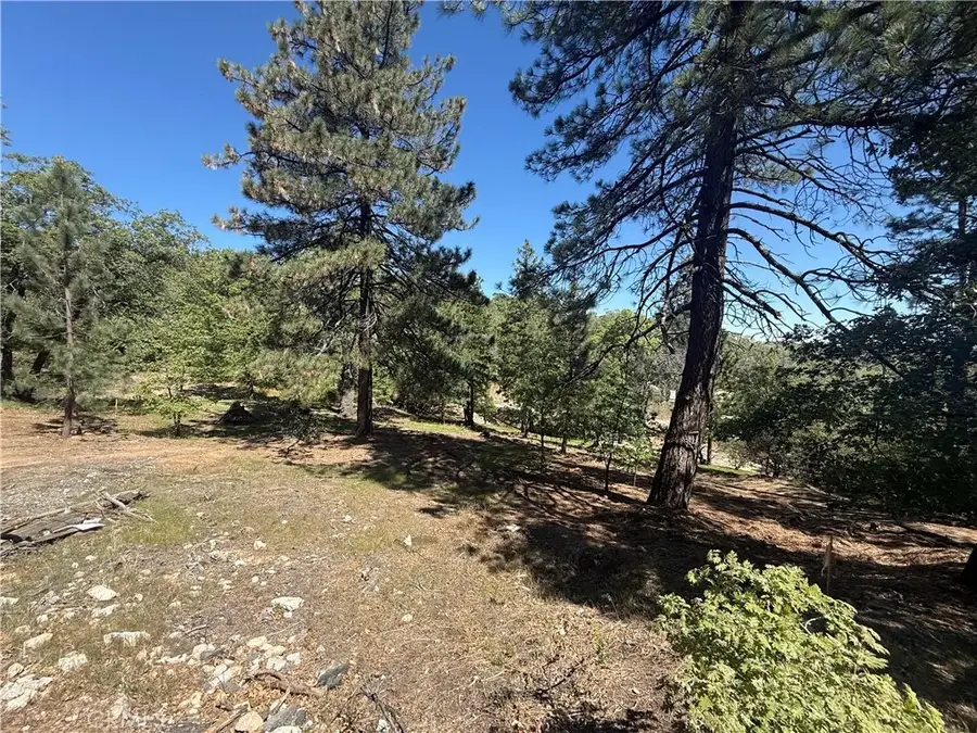 1684 Pinehurst Dr, Lake Arrowhead, CA 92352 - #2